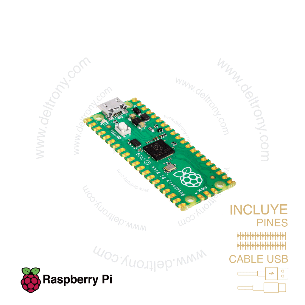 Raspberry pi pico
